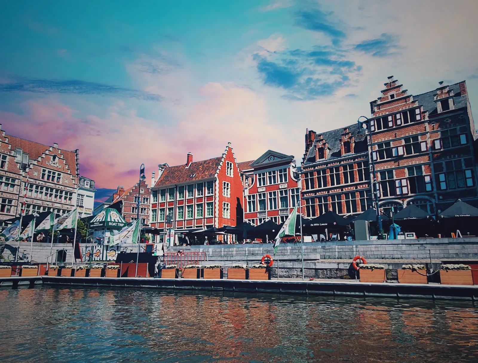 de Witte Leeuw